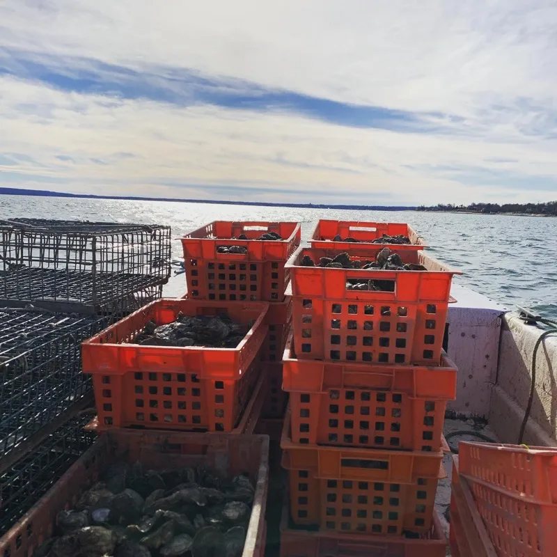 Lobster crates on the boat
