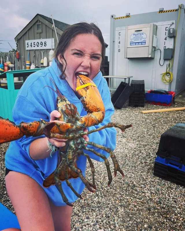 Fresh lobster catch